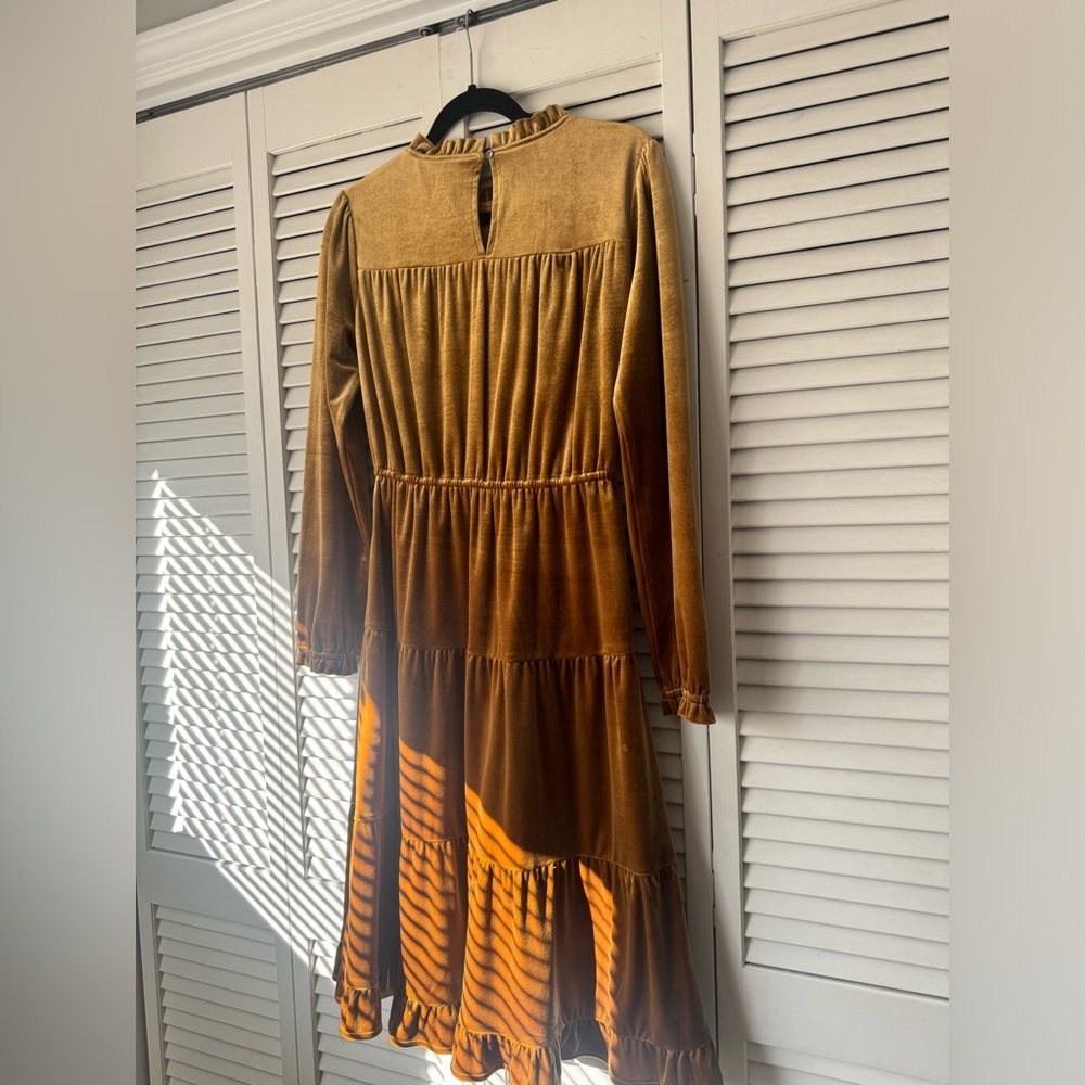 Roolee velvet dress - Picture 2 of 7